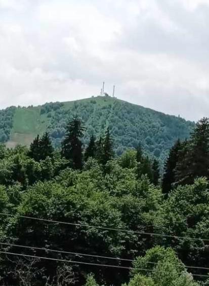 Hotel Archi Kokhta Bakuriani Bagian luar foto